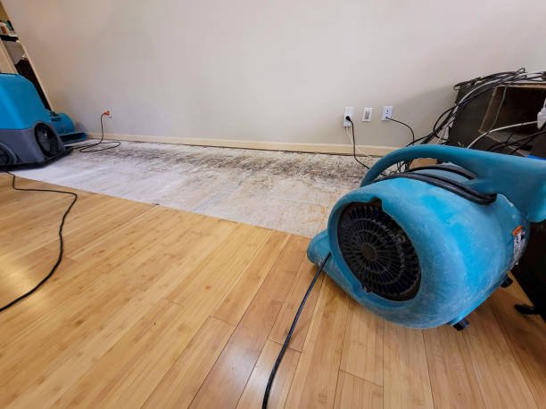 Professional Burst Pipe Water Damage technician working in Seal Cove, ME